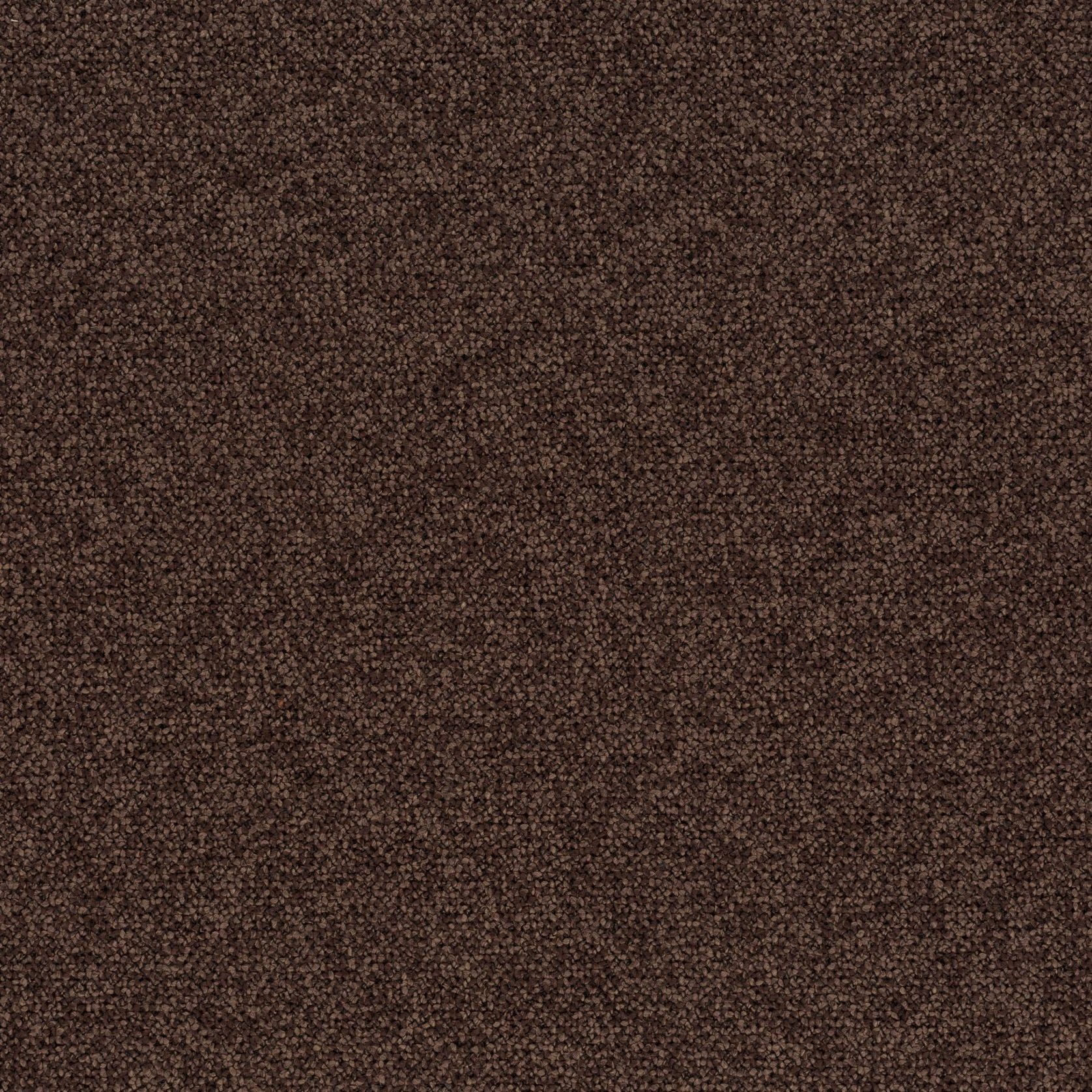 Bonsai Reboot | Unique by Chivasso gallery detail image