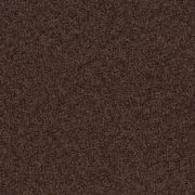 Bonsai Reboot | Unique by Chivasso gallery detail image