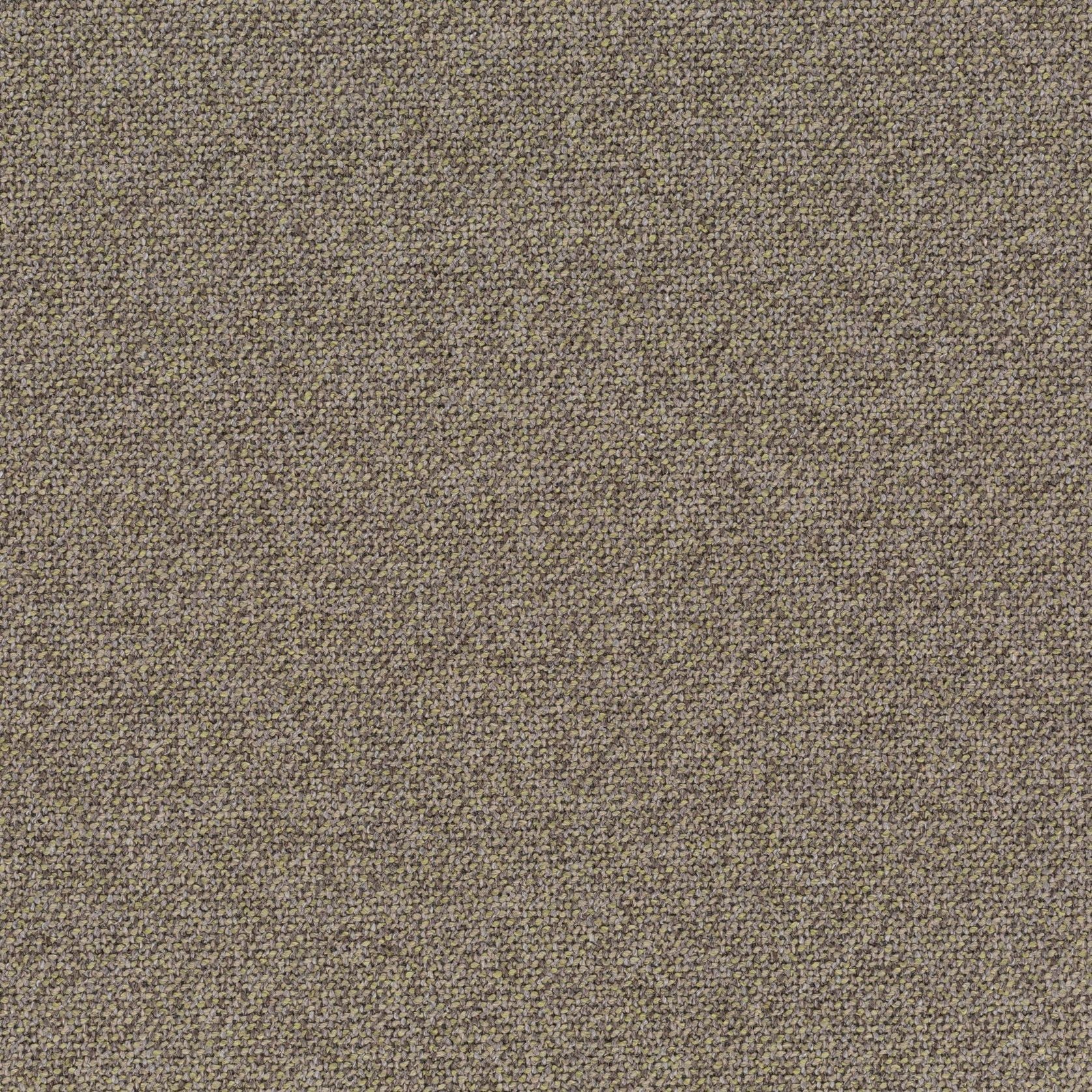 Bonsai Reboot | Unique by Chivasso gallery detail image