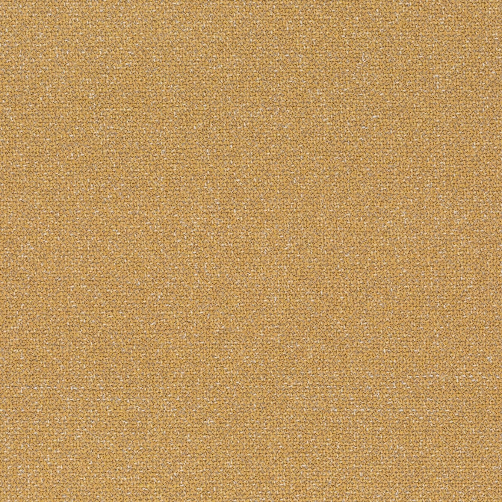 Bonsai Reboot | Unique by Chivasso gallery detail image