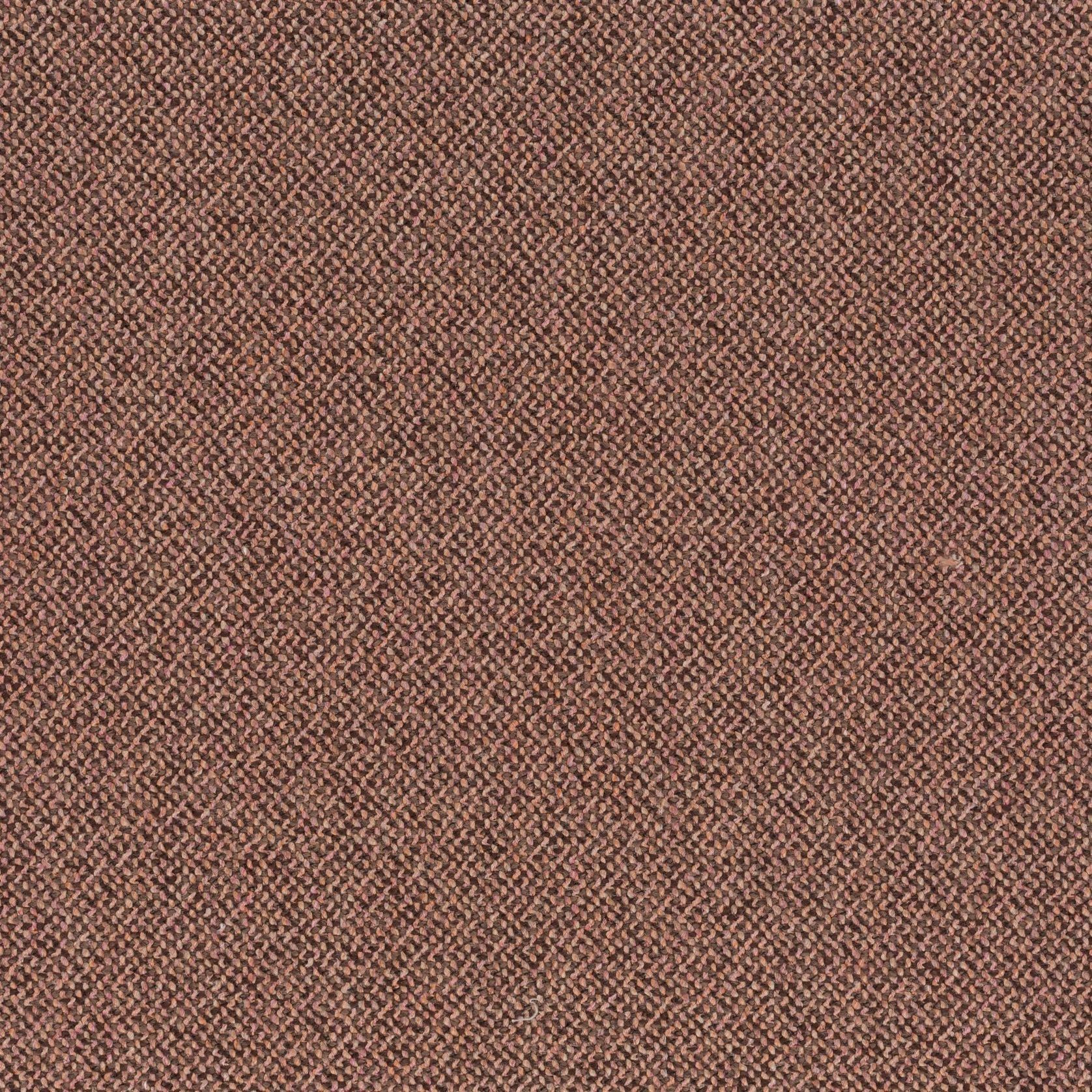 Bonsai Reboot | Unique by Chivasso gallery detail image