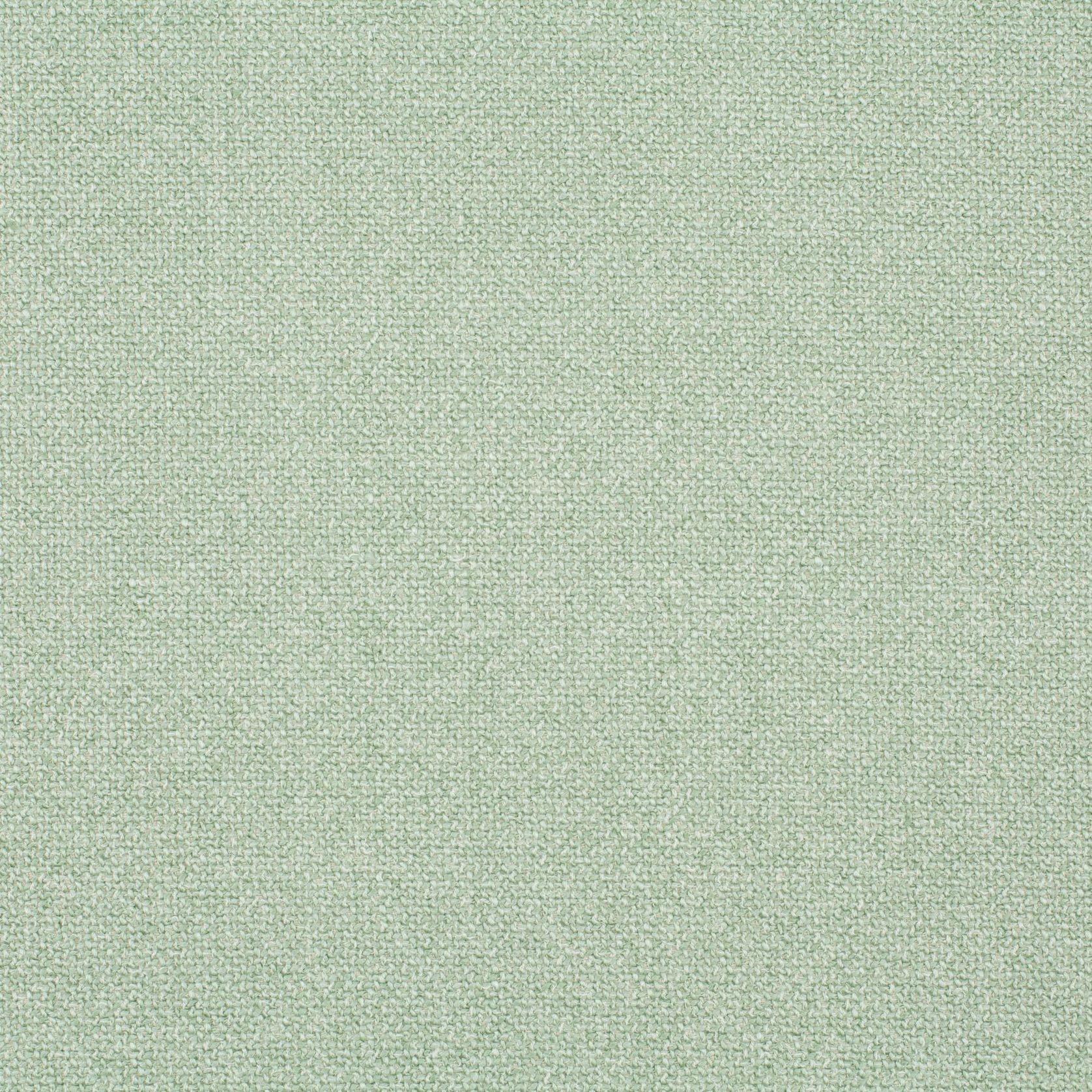 Bonsai Reboot | Unique by Chivasso gallery detail image