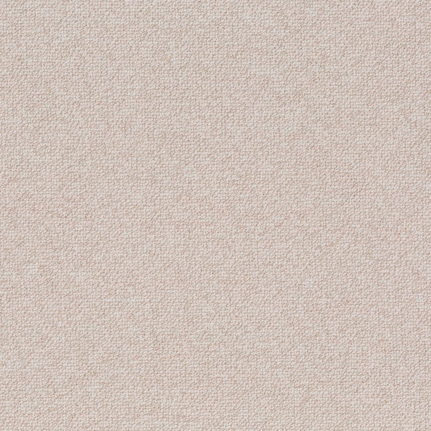 Bonsai Reboot | Unique by Chivasso gallery detail image