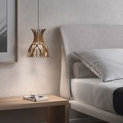 Domitas S20 Pendant gallery detail image