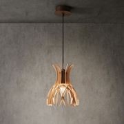 Domitas S20 Pendant gallery detail image