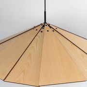 Sepal Pendant Light gallery detail image