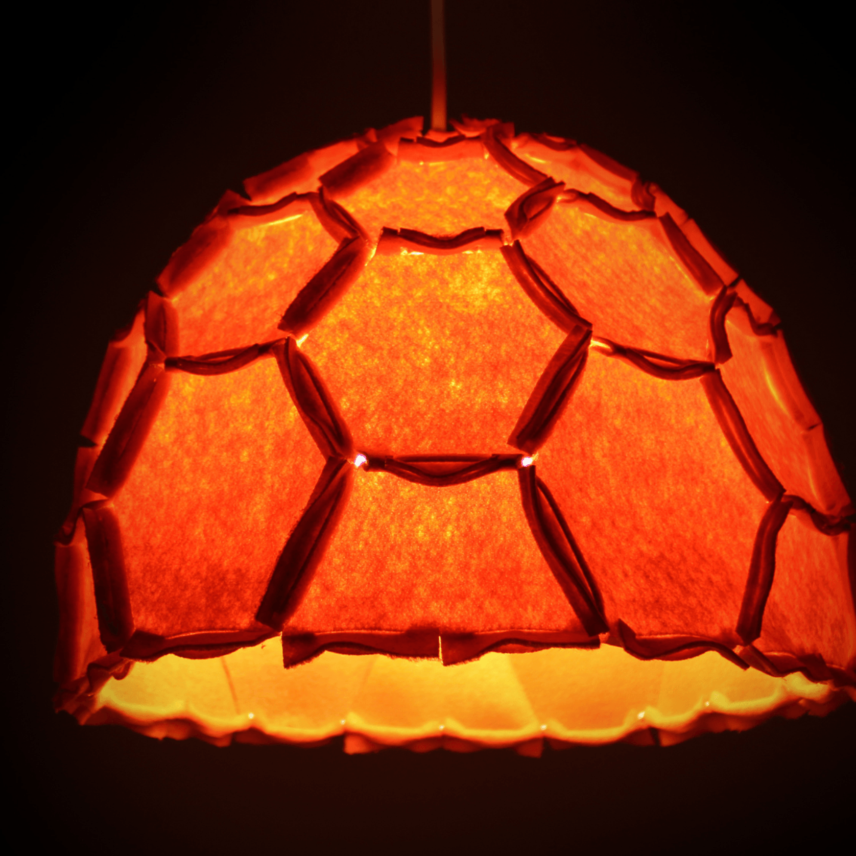 Nectar Lights gallery detail image