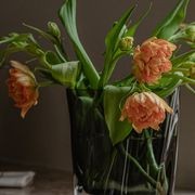 Audo CPH Aer Vase, 19 gallery detail image