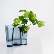 Aalvar Aalto Vases gallery detail image