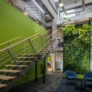 Bespoke Living Wall Solutions | Commercial gallery detail image