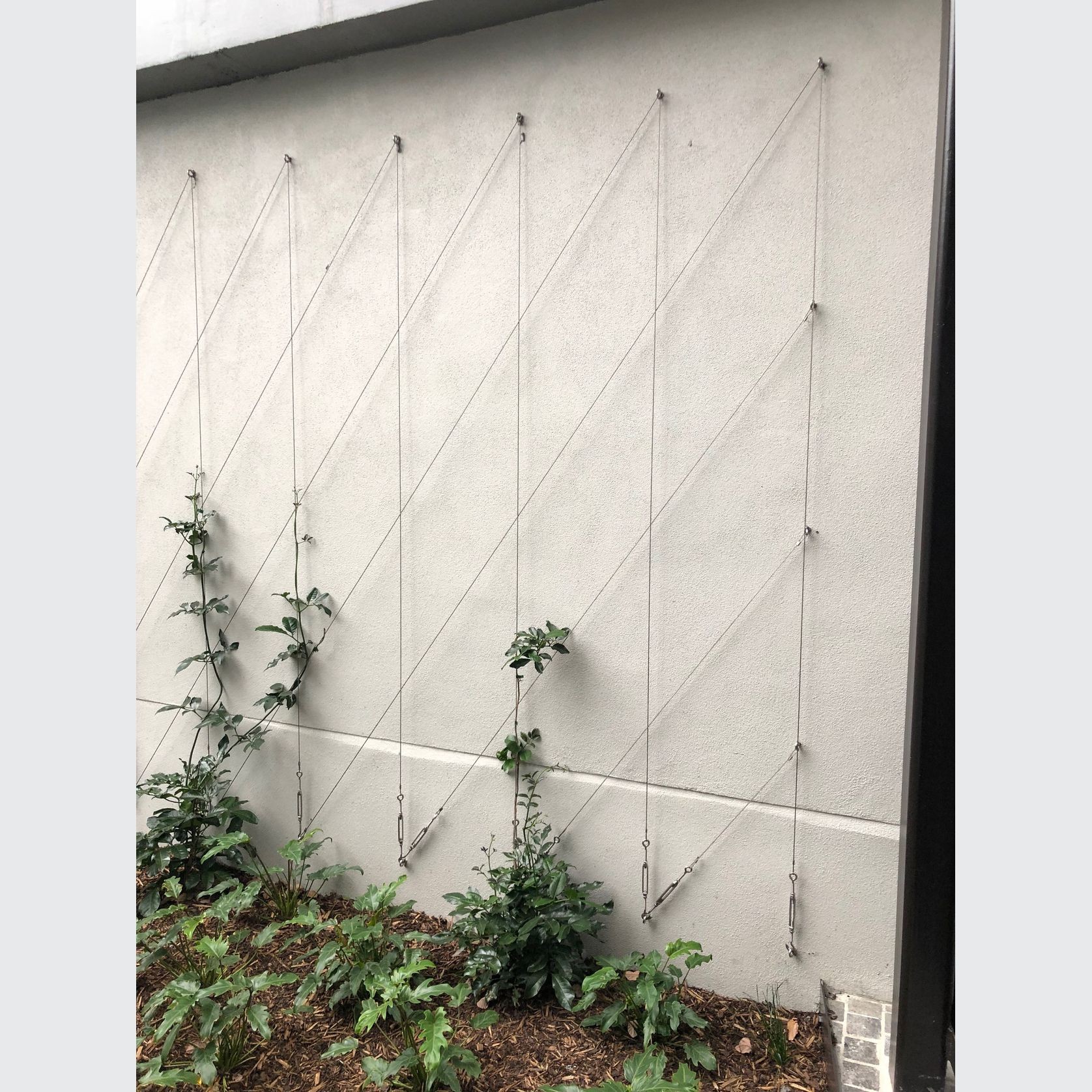 Green Wall Support Systems gallery detail image