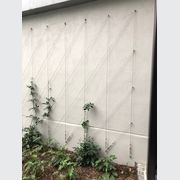 Green Wall Support Systems gallery detail image