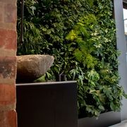 Bespoke Living Wall Solutions | Residential gallery detail image