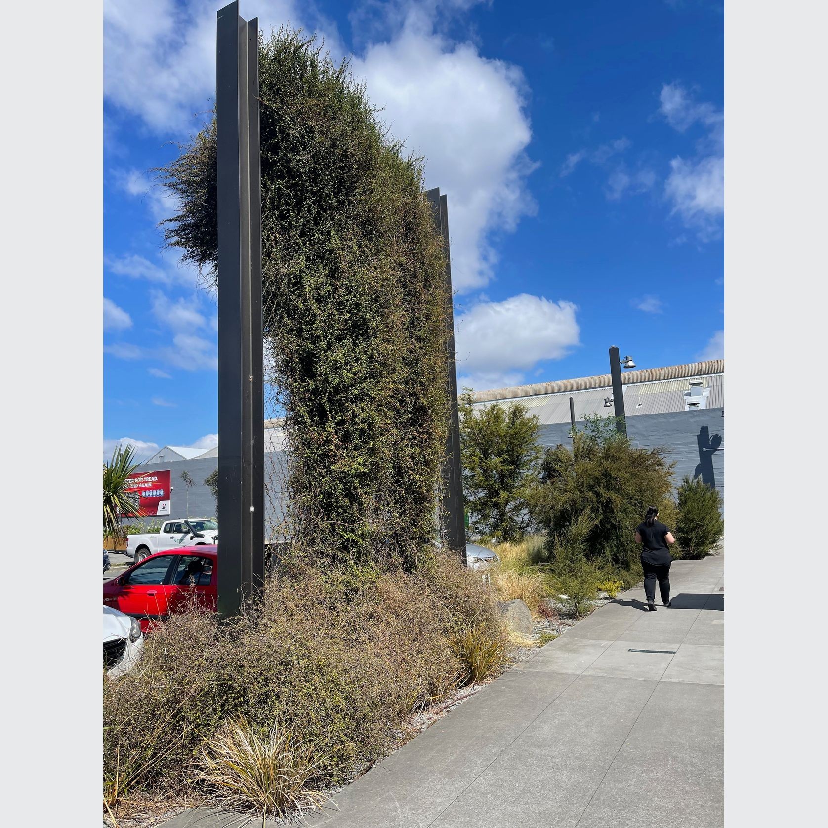 Green Wall Support Systems gallery detail image