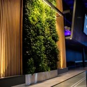 Bespoke Living Wall Solutions | Commercial gallery detail image