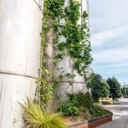 Green Wall Support Systems gallery detail image