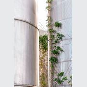 Green Wall Support Systems gallery detail image