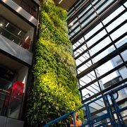 Gro-Wall® 4.5 Vertical Gardens gallery detail image