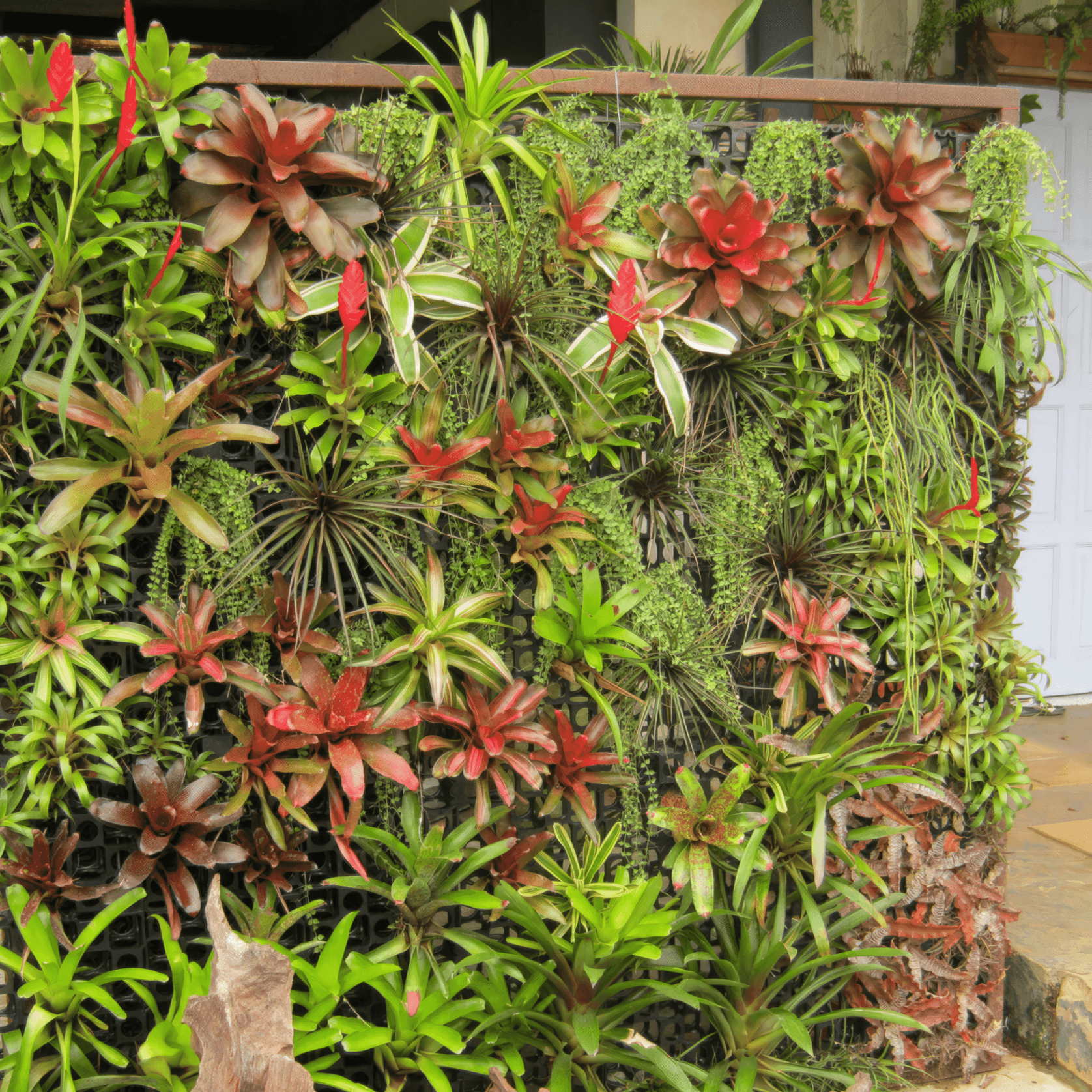 Architectural Screens - Atlantis Gro-Wall® Façade gallery detail image