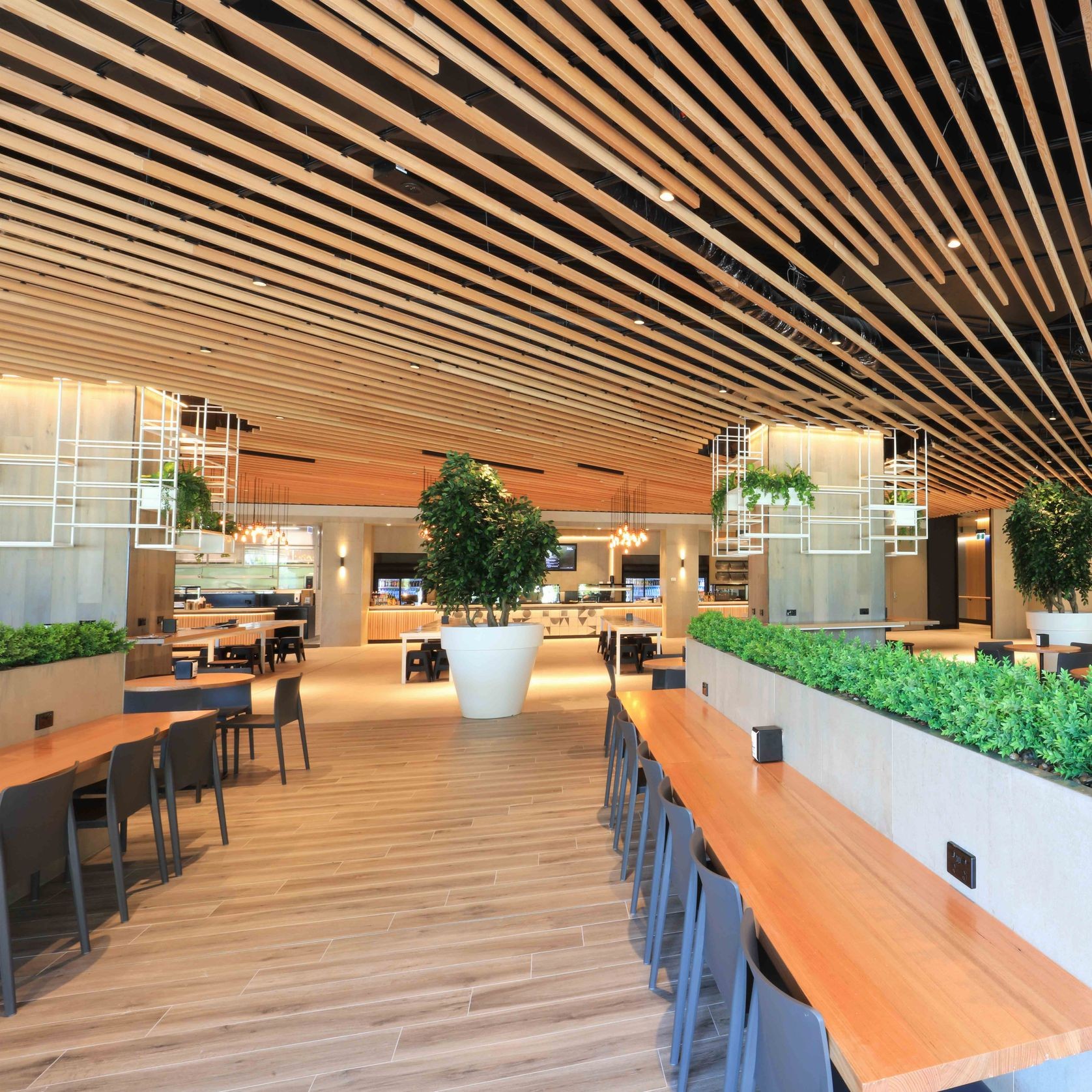 Timberline Plus | Well Versed Plus gallery detail image