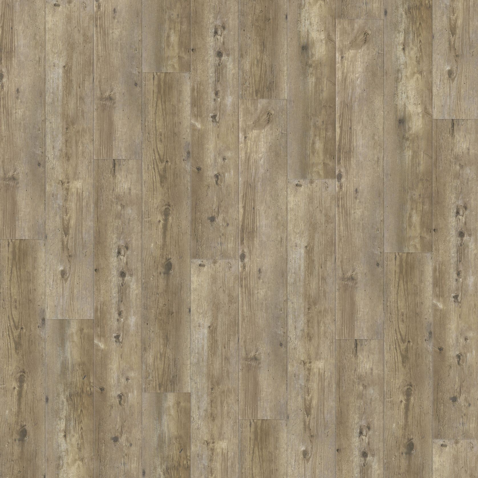 Natural Creations ArborArt | Weathered Oak Light - Wide gallery detail image