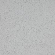 Altro Aquarius™ - R11 Bathroom Flooring gallery detail image