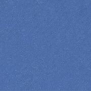 Altro Classic™ X25 - R11 Safety Flooring gallery detail image