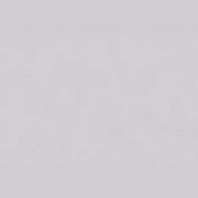 Altro Orchestra™ 'Front of House' Flooring gallery detail image