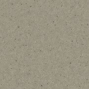 Altro Orchestra™ 'Front of House' Flooring gallery detail image