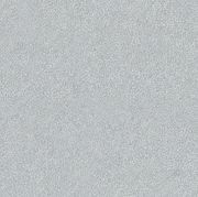 Altro Pisces™ - R11 Bathroom  Flooring gallery detail image