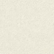 Altro Pisces™ - R11 Bathroom  Flooring gallery detail image