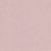 Altro Pisces™ - R11 Bathroom  Flooring gallery detail image