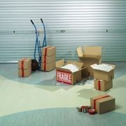 Armalon NG | Rosemary Green gallery detail image