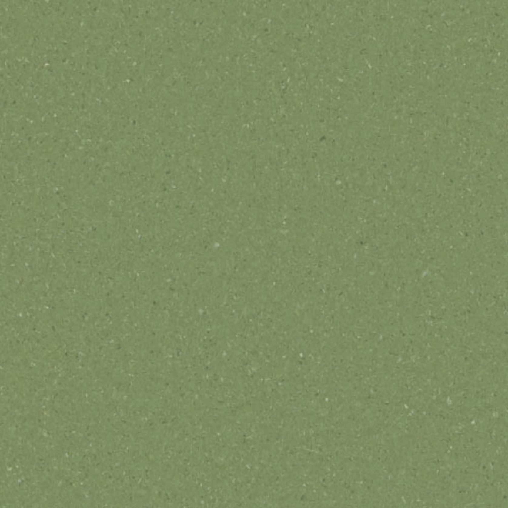 Accolade Plus | Mossman gallery detail image