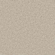 Accolade Plus | Cappuccino gallery detail image