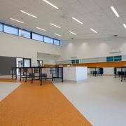 Australis | Coorong Grey gallery detail image