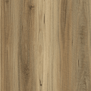 Aussie Plank gallery detail image