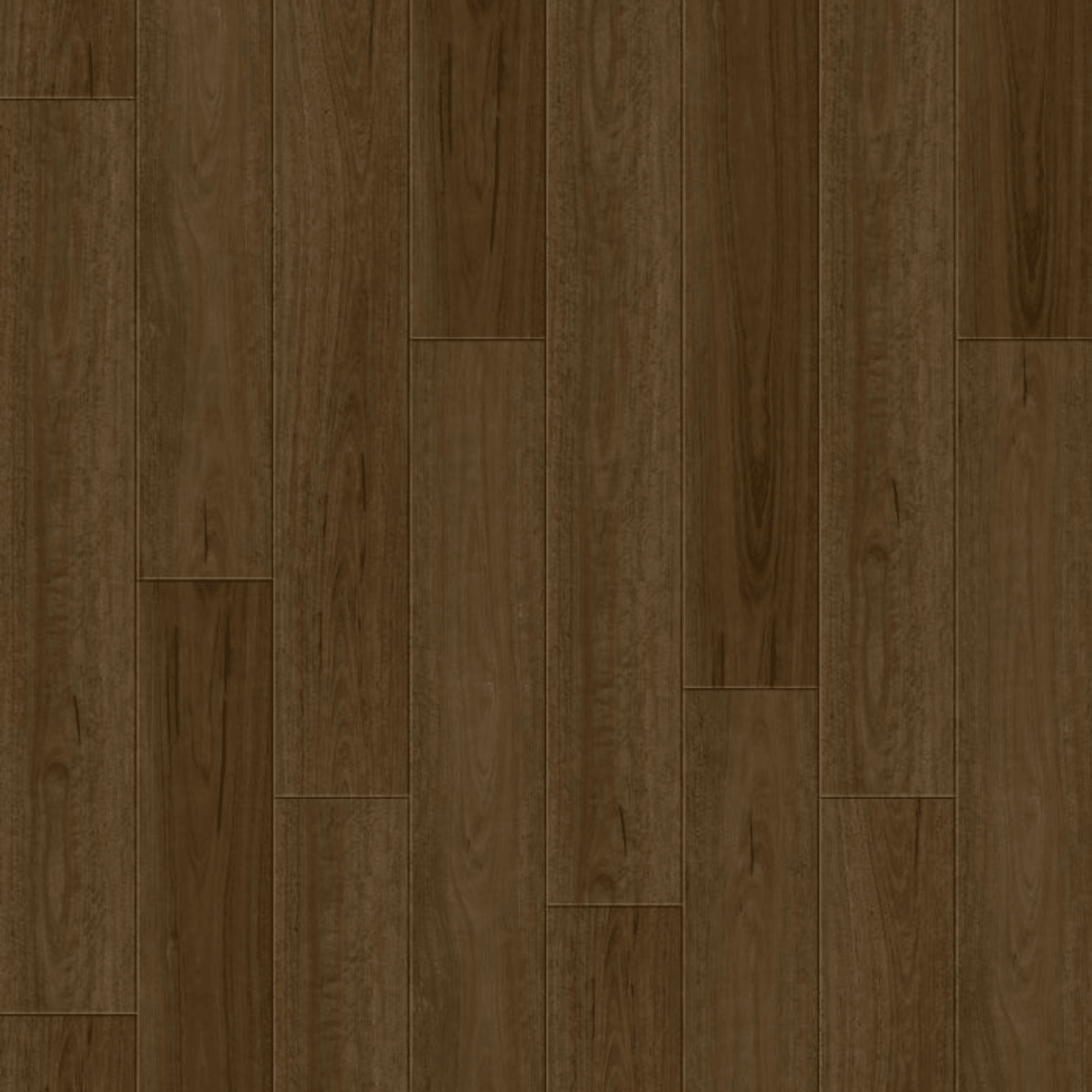 Essentials | Coastal Spotted Gum gallery detail image