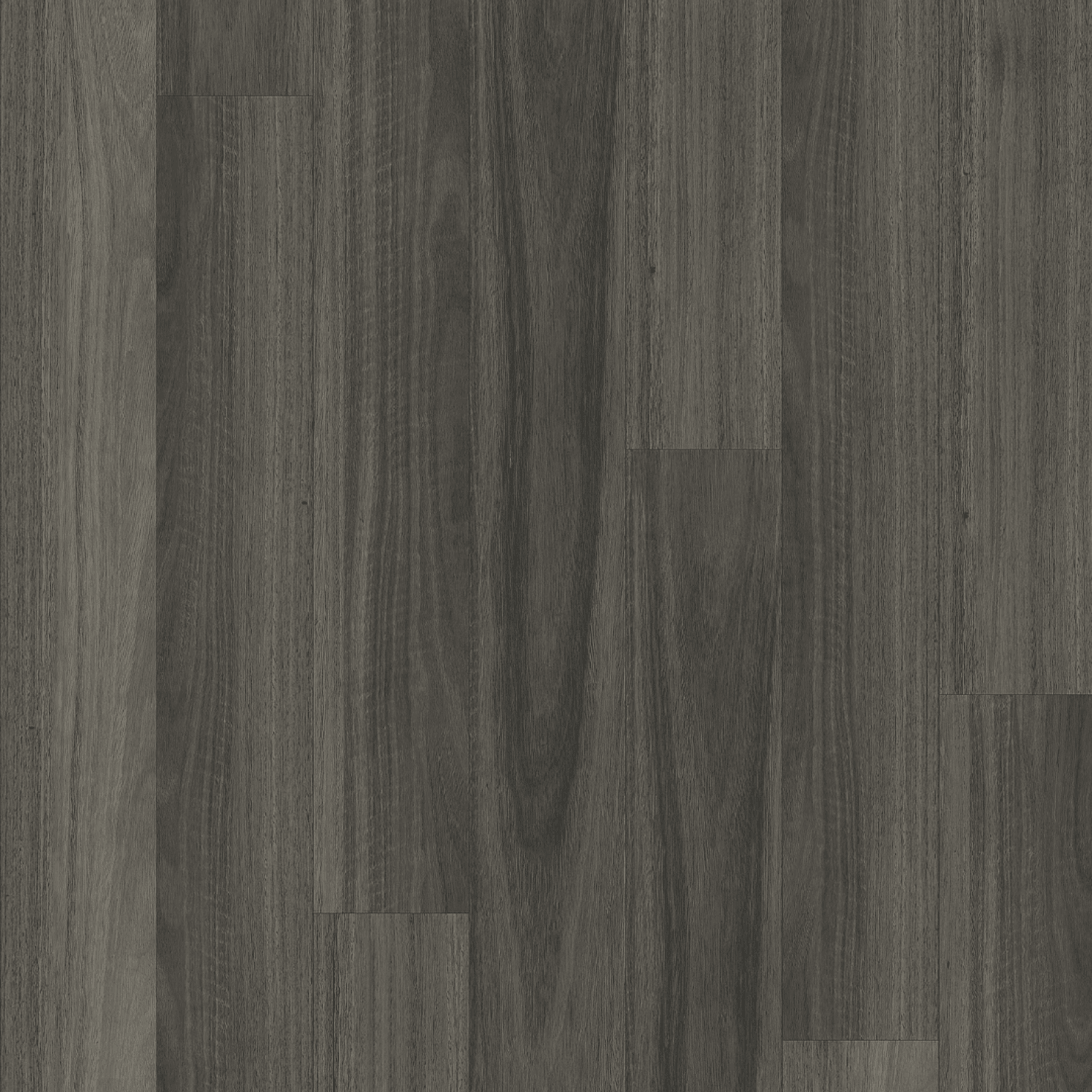 Kingswood Australis | Ancient Gum gallery detail image