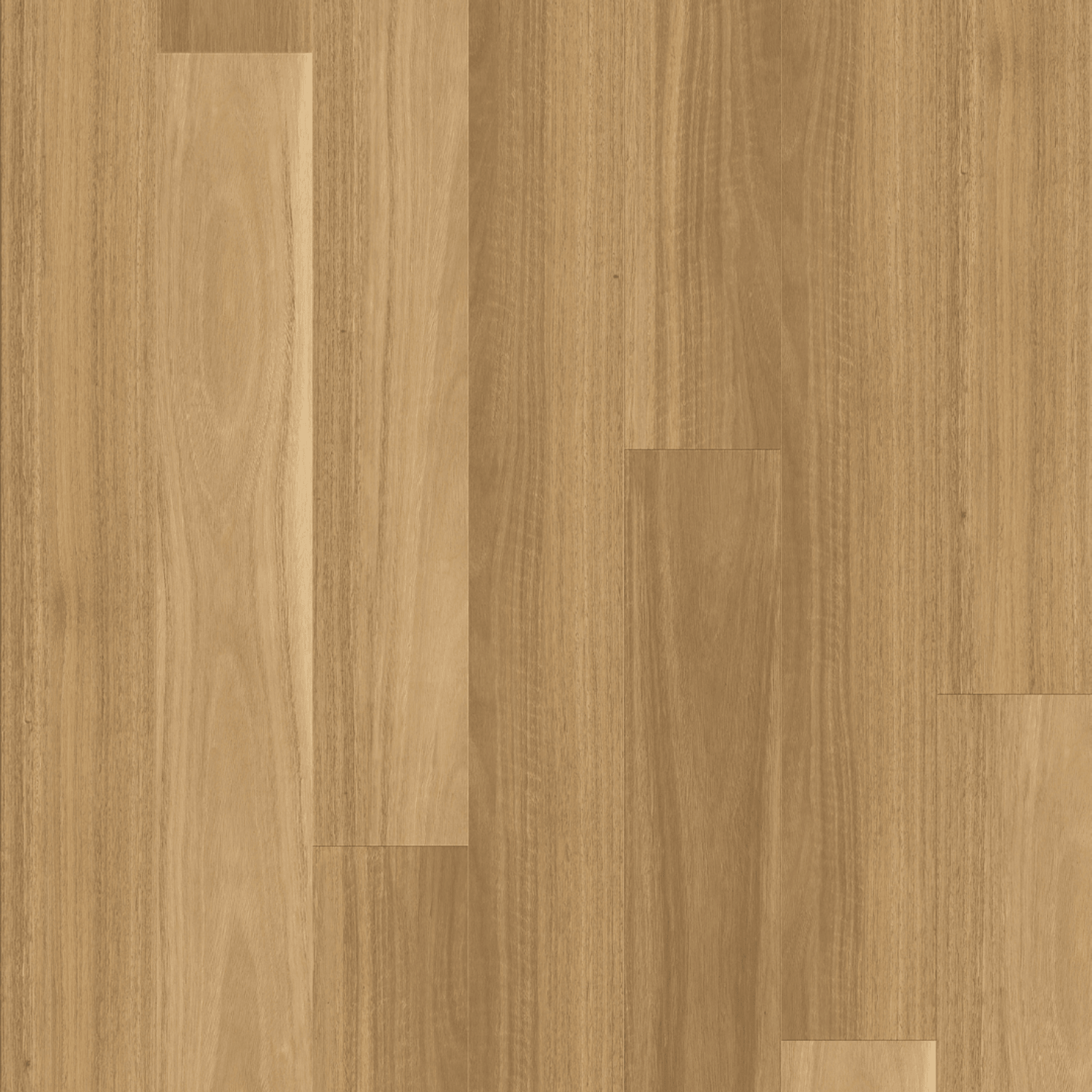 Kingswood Australis | Salted Gum gallery detail image