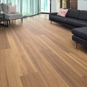 Mountain Spotted Gum Flooring gallery detail image
