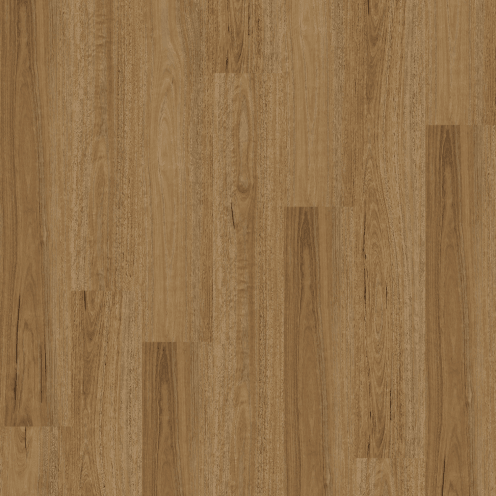 Natural Creations XL | Spotted Gum gallery detail image