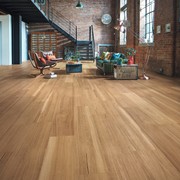 Warm Spotted Gum Flooring gallery detail image