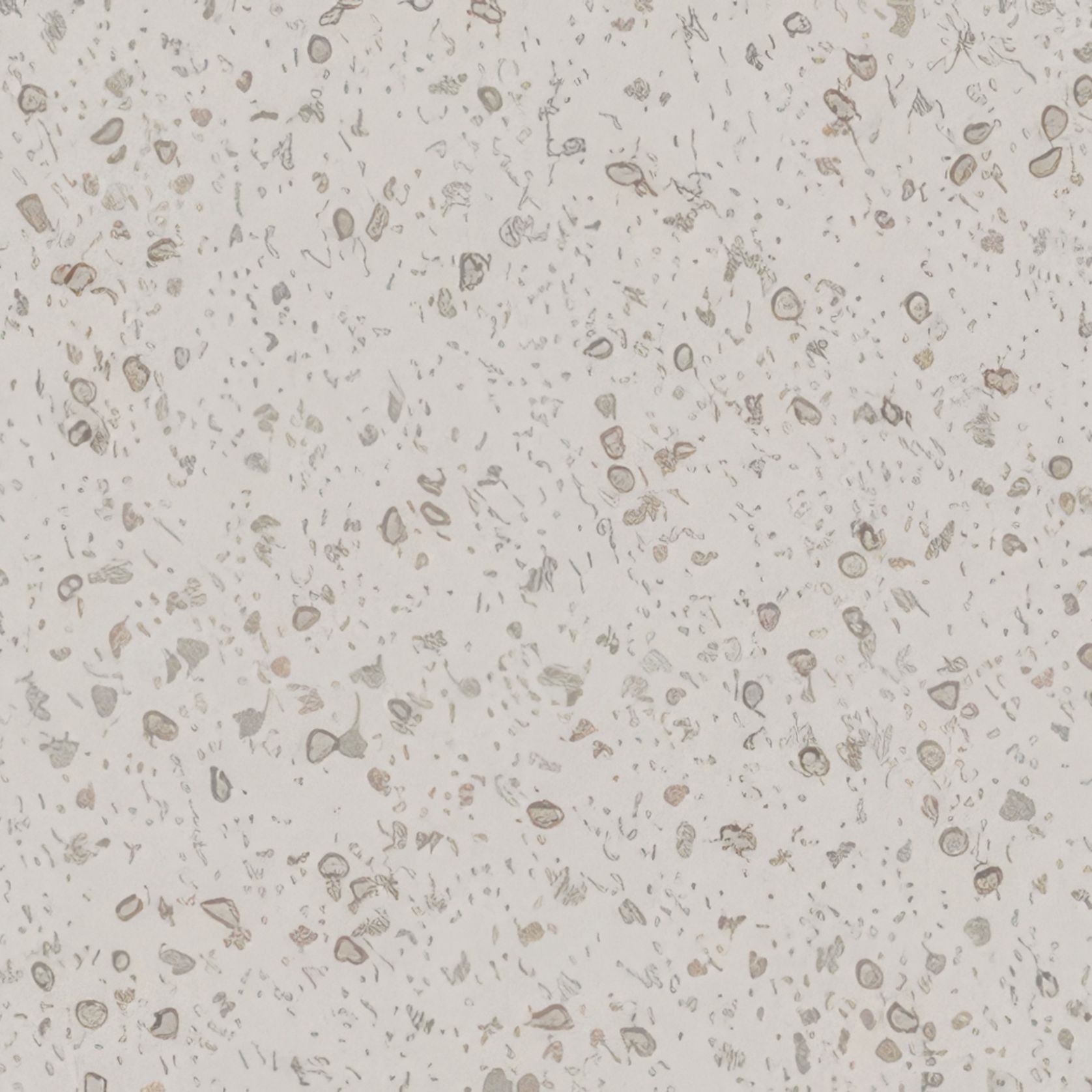 Altro Suprema™ R10 Safety Flooring ArchiPro AU