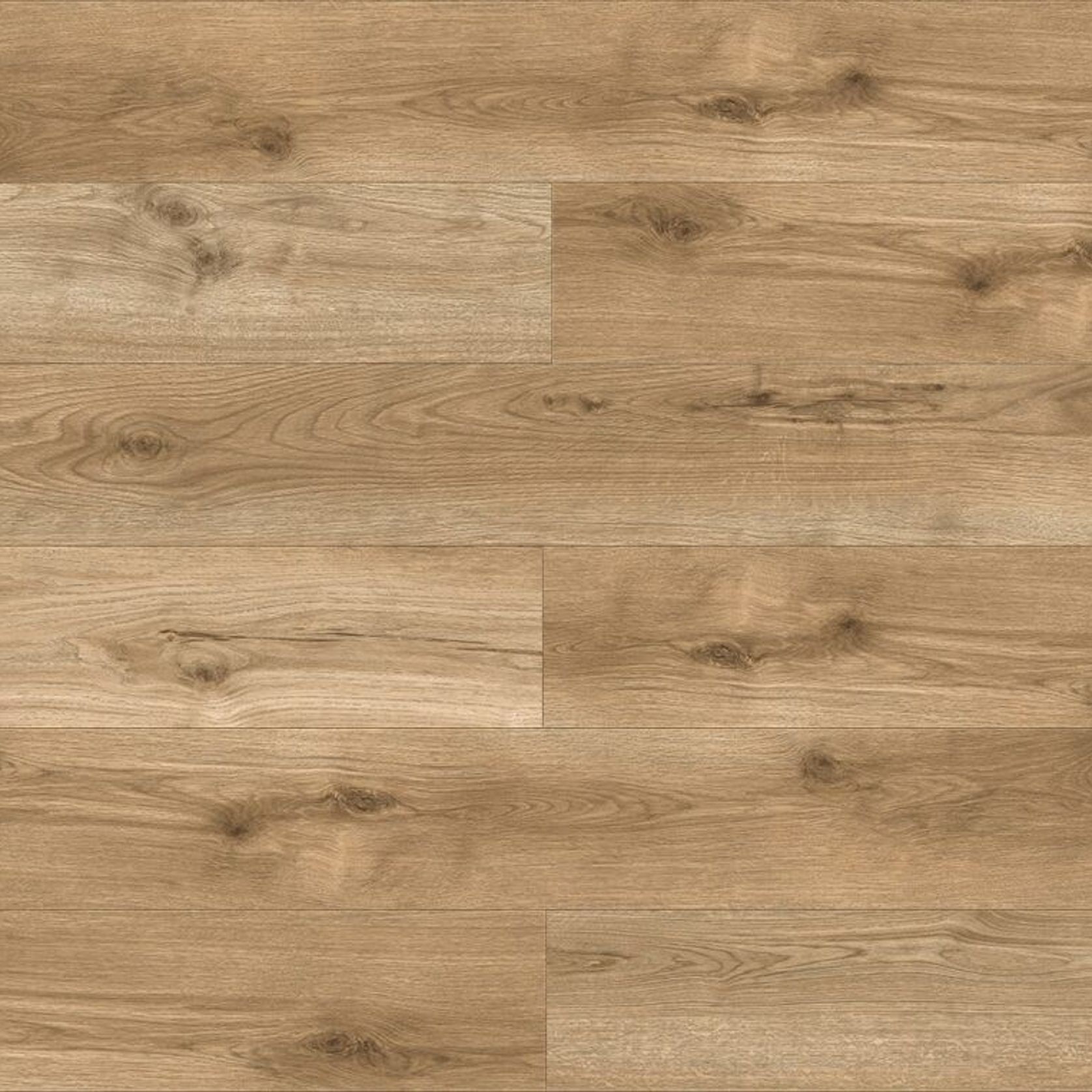 Springbrook gallery detail image