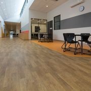 Timberline Plus | Too Right Plus gallery detail image