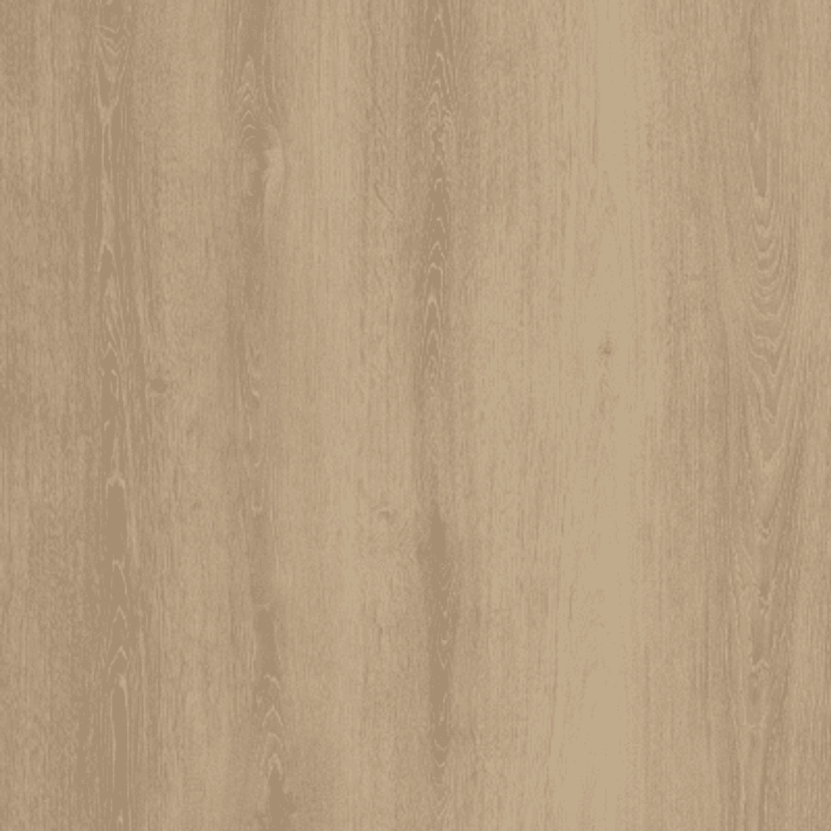 Beaches gallery detail image