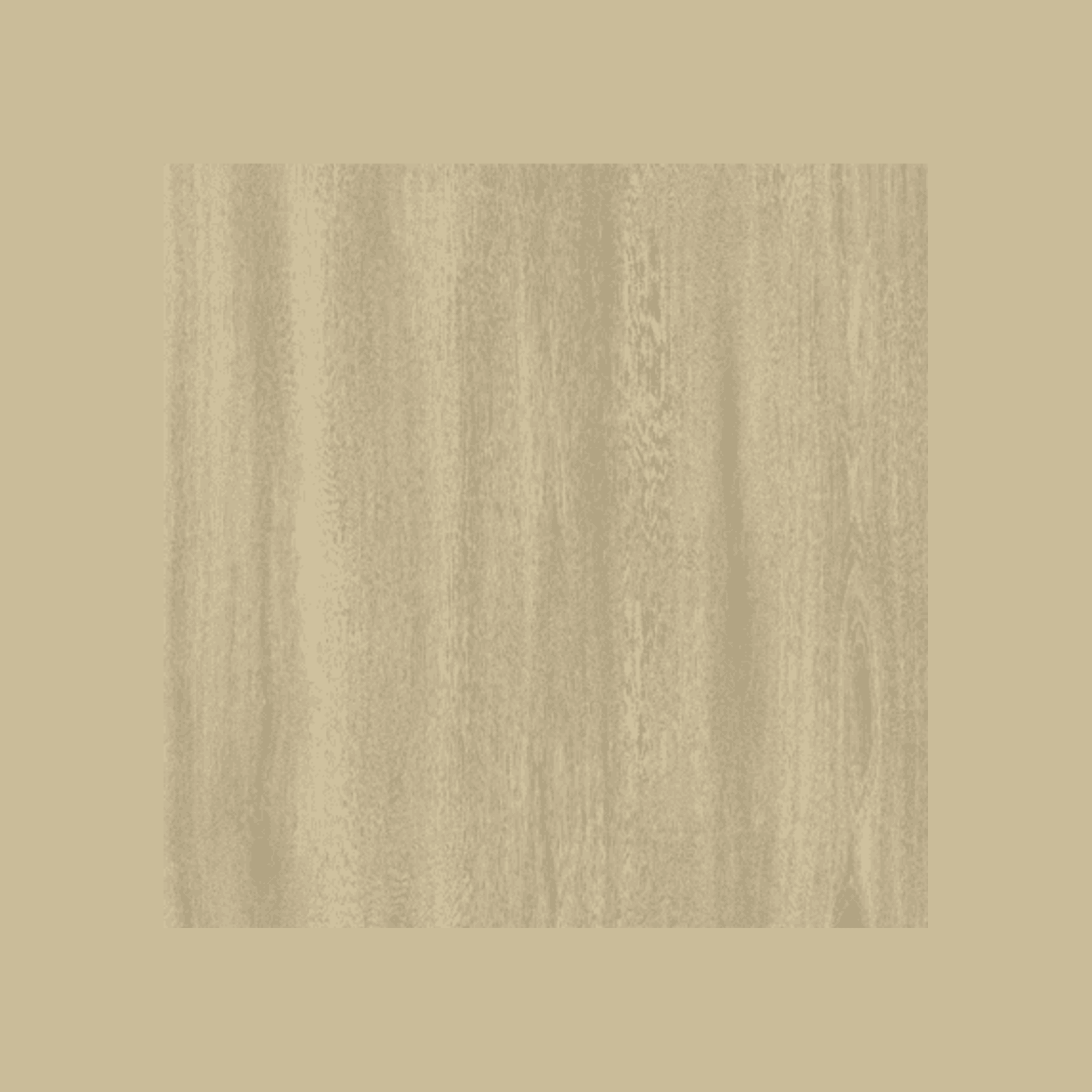 Beaches gallery detail image