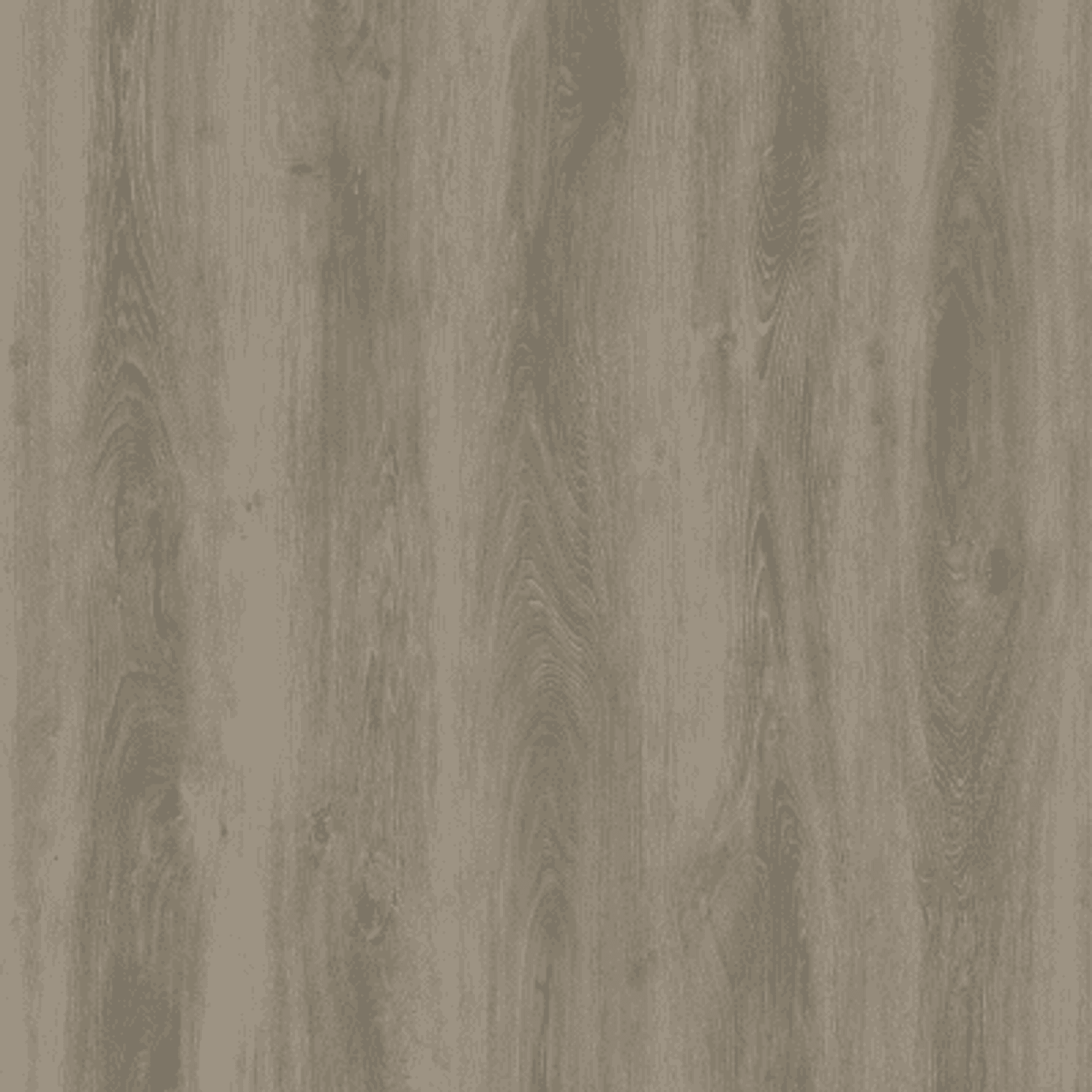 Beaches gallery detail image