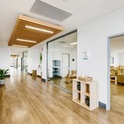 Timberline Plus | Tasmanian Oak Plus gallery detail image